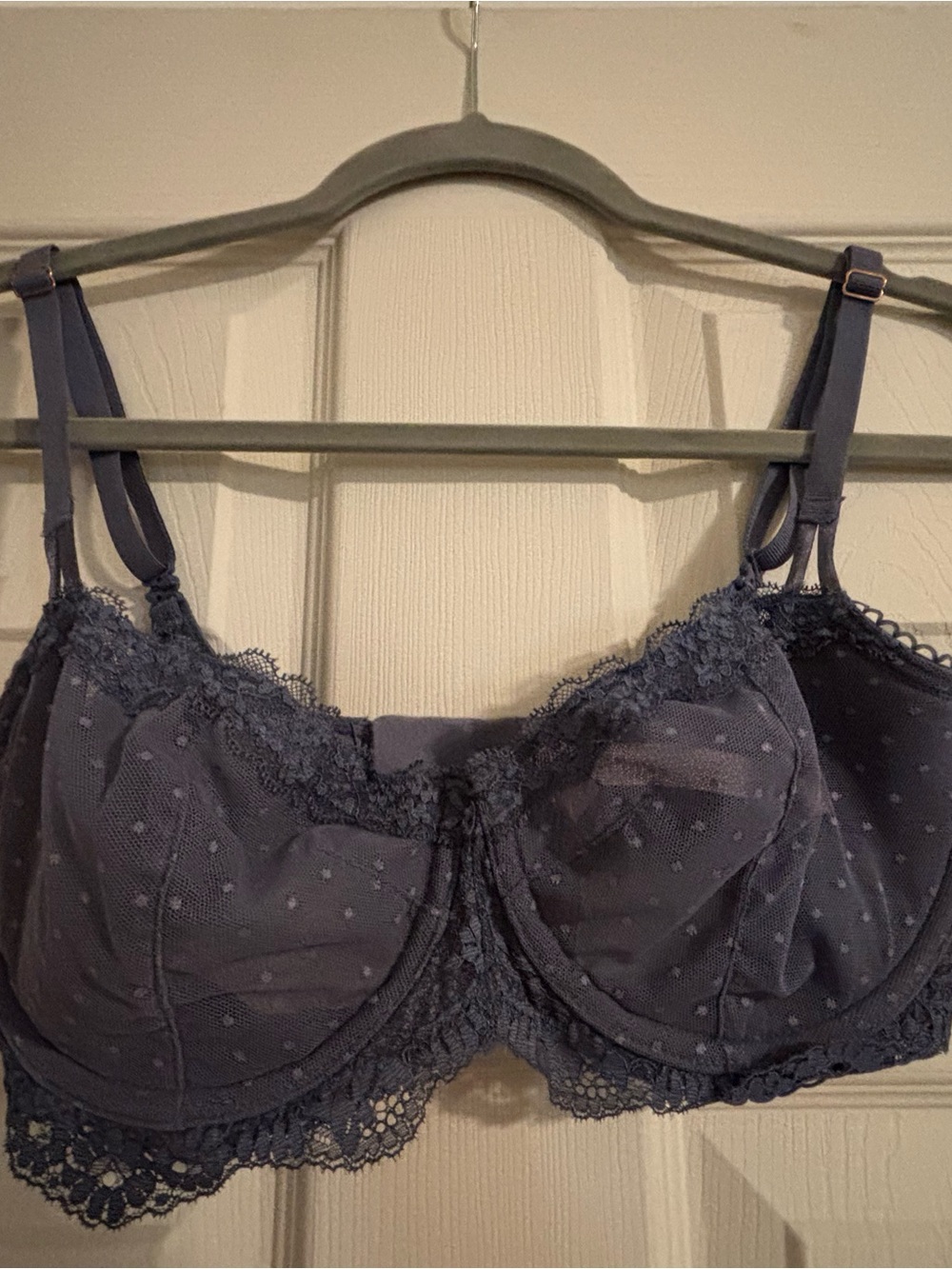 Victoria’s Secret Lace Trim Underwire Push Up Bra in Dusty Blue
